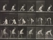 Eadweard Muybridge, Animal Locomotion, plate 538