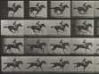 Eadweard Muybridge, Animal Locomotion, plate 627