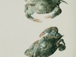 Andy Warhol, Crabs